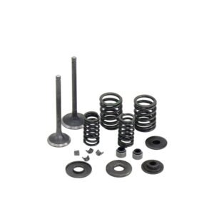 YP250-5027 Linhai 250 260 300 520 Inlet/Exhaust Valve Sets For Linhai YMH Jinlang Feishen Scooter ATV 22714