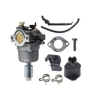 Carburetor For Briggs & Stratton 799727 697203 795873 808891 699475 698620