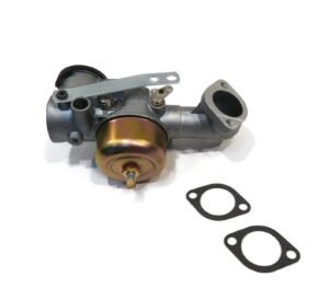 Carburetor for Briggs & Stratton fits 190707-2196-01, 190707-2209-99 with Gasket
