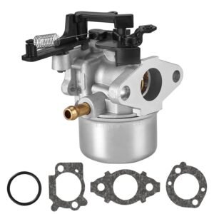 Carburetor Fit For Briggs & Stratton 799248 594287 799154