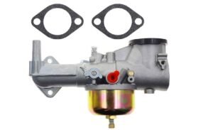 Carburetor For Briggs & Stratton 391789 491028 391787 Engine