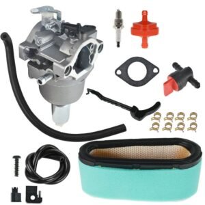 Carburetor Kit For Briggs & Stratton 495935 498061 499153 496796 498051