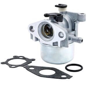 Carburetor Fit for Briggs and Stratton 794304 796707 799866 790845 799871